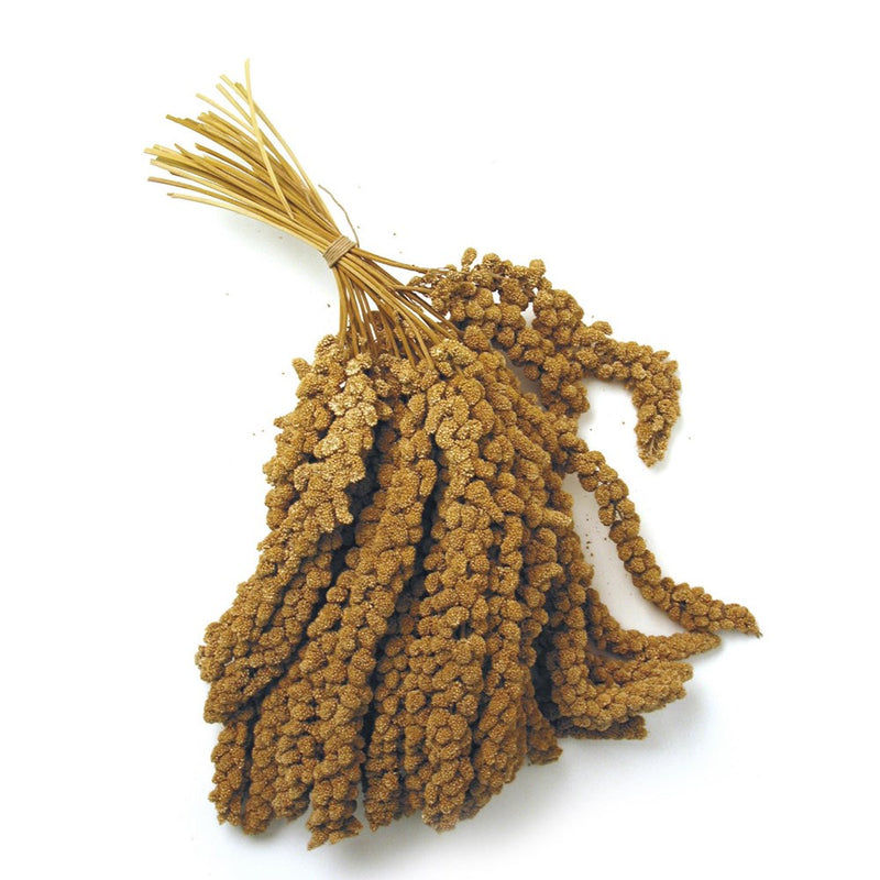 MILLET SPRAY 500G
