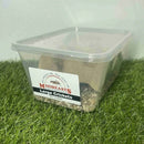 MINIBEASTS CRICKETS LARGE TUB 35+