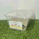 MINIBEASTS CRICKETS PINHEAD TUB 200+