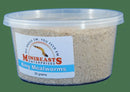 MINIBEASTS KING MEALWORMS 20G