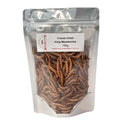 MINIBEASTS FREEZE DRIED KING MEALWORMS 100GM