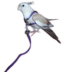 MCDONALD BIRD HARNESS & LEAD LARGE