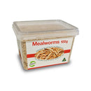 PISCES LIVE MEALWORMS 100G TUB