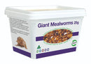 PISCES LIVE GIANT MEALWORMS 25G