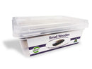 PISCES LIVE SMALL WOODIES 50/TUB