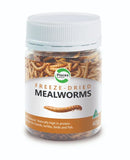 PISCES FREEZE DRIED MEALWORMS 40G