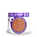 PISCES BRINE SHRIMP EGGS 30G