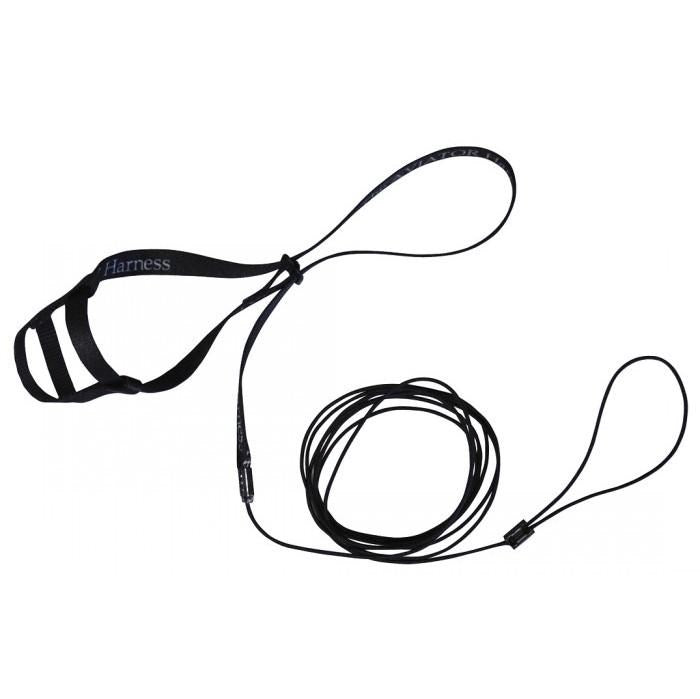 AVIATOR HARNESS & LEASH PETITE