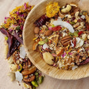 RAW FOR BIRDS FRUIT & NUT TREAT 600G
