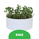 BIRD MICROGREENS KIT - KALE