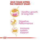 ROYAL CANIN CAT PERSIAN KITTEN 2KG