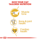 ROYAL CANIN CAT BRITISH SHORTHAIR 2KG