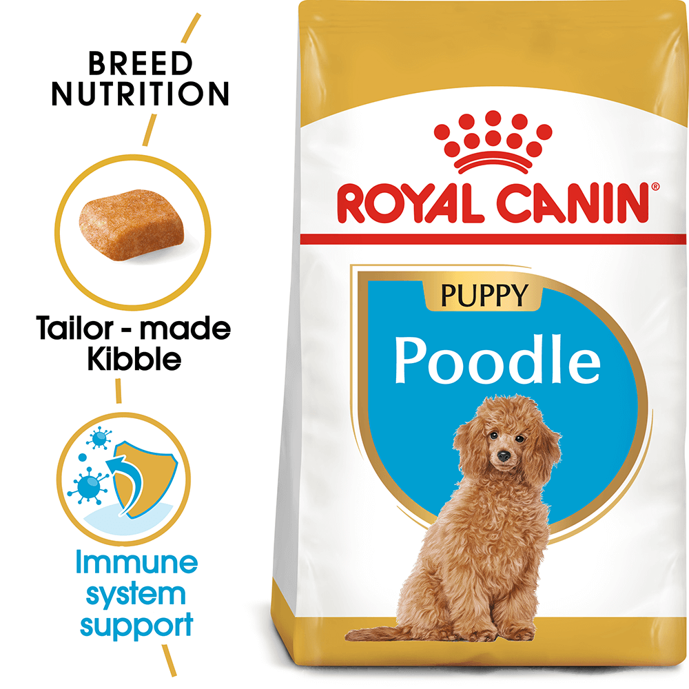 ROYAL CANIN DOG POODLE PUPPY 3KG