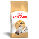 ROYAL CANIN CAT RAGDOLL 10KG