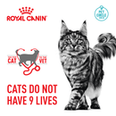 ROYAL CANIN CAT DIGESTIVE CARE 2KG