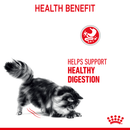 ROYAL CANIN CAT DIGESTIVE CARE 2KG