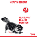 ROYAL CANIN CAT DIGESTIVE CARE 4KG