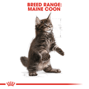 ROYAL CANIN CAT MAINE COON KITTEN 2KG
