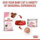 ROYAL CANIN CAT STARTER MOTHER & BABYCAT 195G