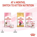 ROYAL CANIN CAT STARTER MOTHER & BABYCAT 195G