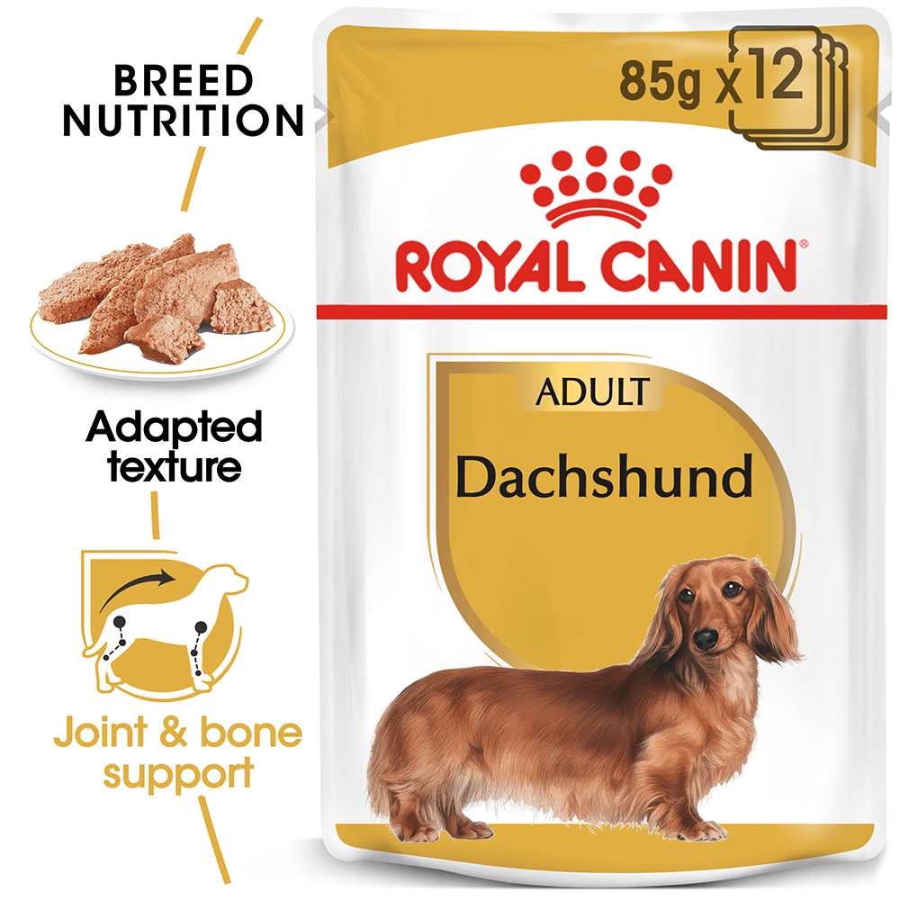 ROYAL CANIN DOG WET DACHSHUND ADULT BOX 12PK