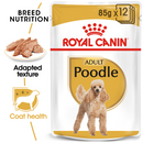 ROYAL CANIN DOG WET POODLE ADULT BOX 12PK