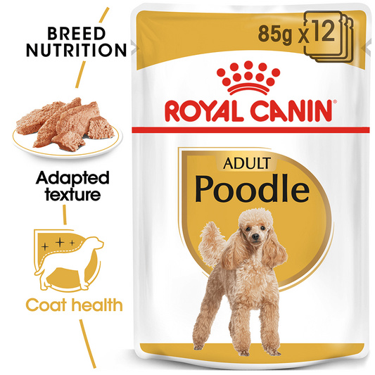 ROYAL CANIN DOG WET POODLE ADULT BOX 12PK