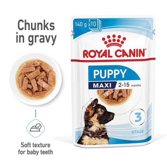 ROYAL CANIN DOG WET MAXI PUPPY BOX 10PK