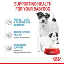 ROYAL CANIN DOG STARTER MOTHER & BABYDOG 195G