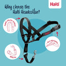 HALTI HEAD COLLAR BLACK SIZE 4