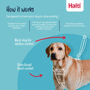 HALTI NO PULL HARNESS SMALL