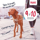 HALTI NO PULL HARNESS SMALL